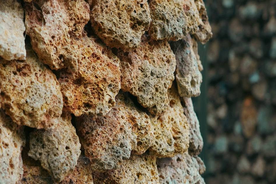 Homepage for Sustainable Living Biodegradable Essentials biodegradable sponges