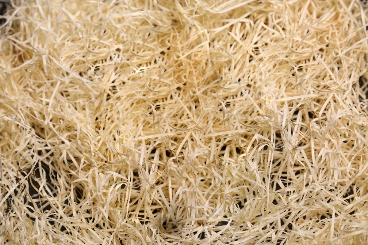 Infographic comparing composition of conventional vs. certified biodegradable sponges showing polyurethane vs. cellulose and natural rubber percentages