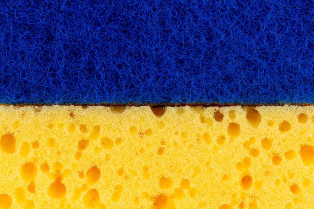 Is Sponge Eco Friendly? The Truth About Biodegradable Sponges (And Why Most Aren’t)