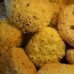When Your Cleaning Supply Sponge What Do Environment? Spoiler: Most Are Plastic Nightmares