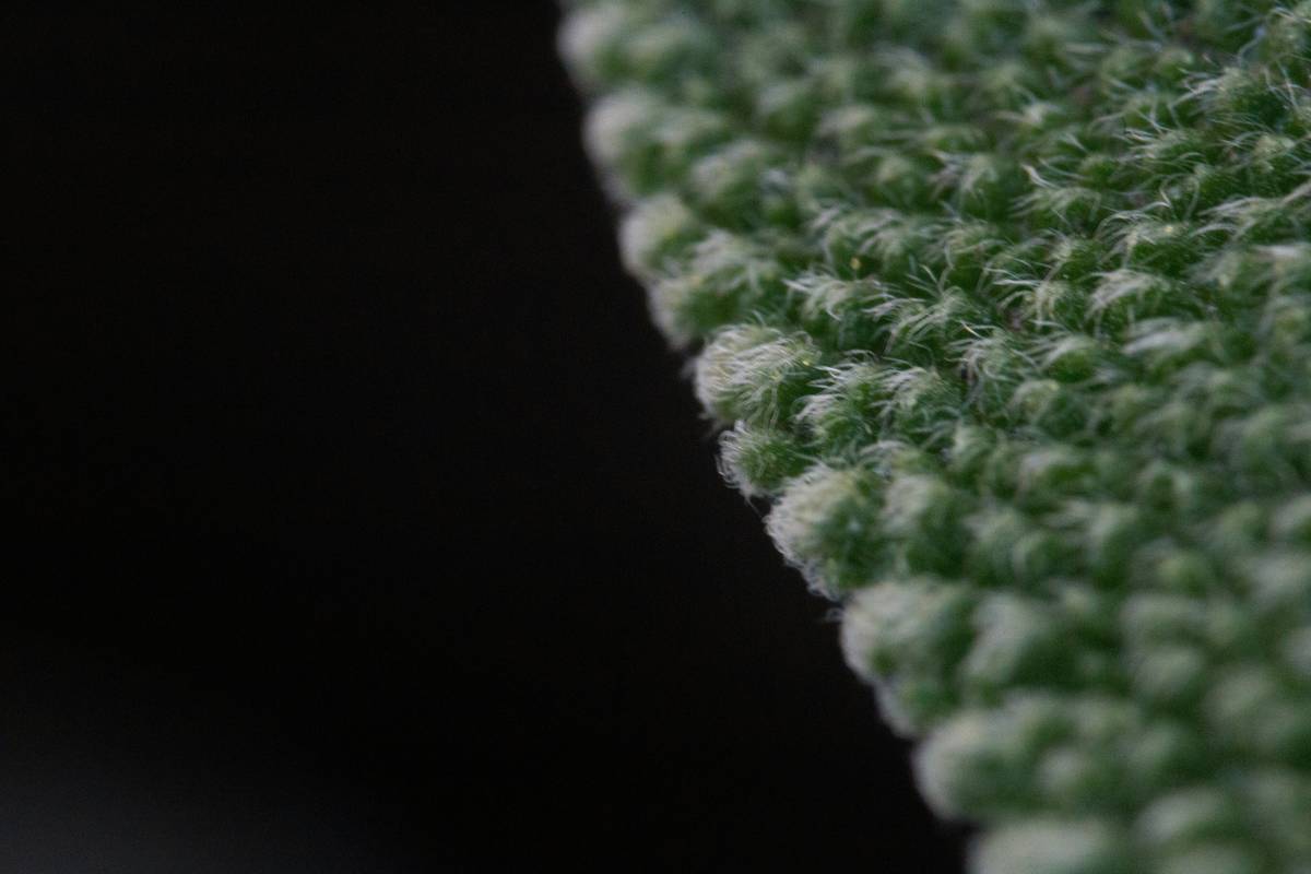 Why Your Kitchen Sponge Is Secretly Trashing the Planet (And How Eco Friendly Cleaning Sponges Can Save It)
