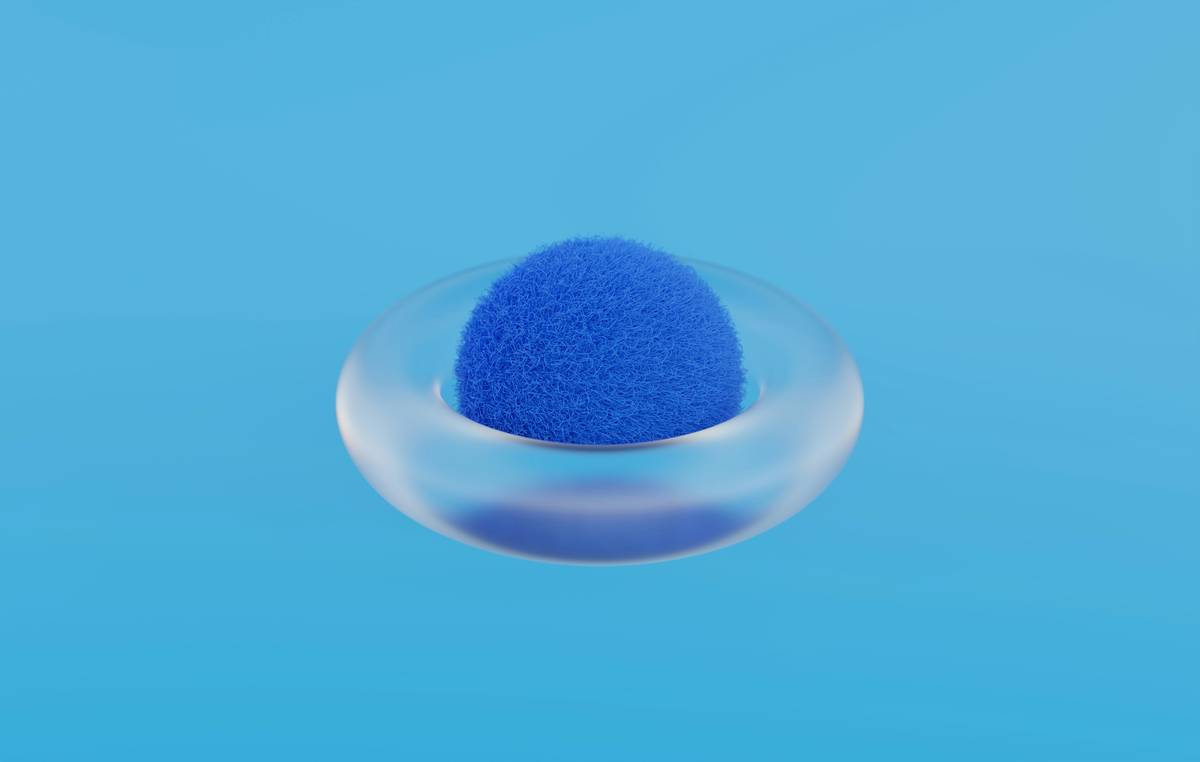 Bar chart comparing water absorption rates of 7 biodegradable sponges: cotton-cellulose blend absorbs 12x its weight; loofah 4x; coconut coir 3x; bamboo 6x; etc.