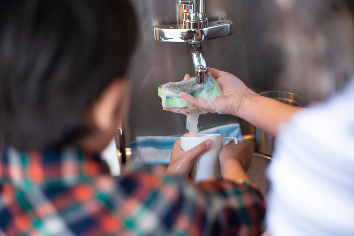 Is Your Sponge Used for Cleaning Secretly Trashing the Planet? Here’s How to Swap It for a Truly Biodegradable One