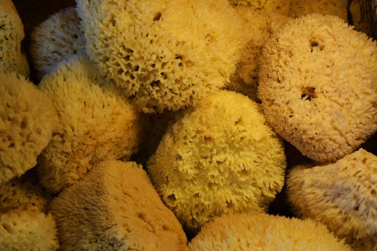 Side-by-side infographic: traditional plastic sponge shedding microplastics vs. biodegradable sponge decomposing naturally in soil within 90 days