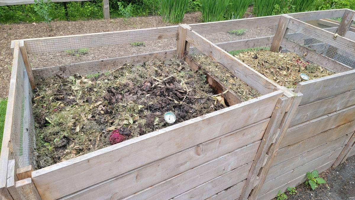 Close-up of huge sponges for cleaning being composted in a backyard bin