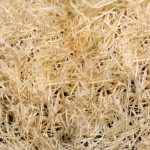 How to Make Eco Friendly Sponge at Home Without Wasting a Drop