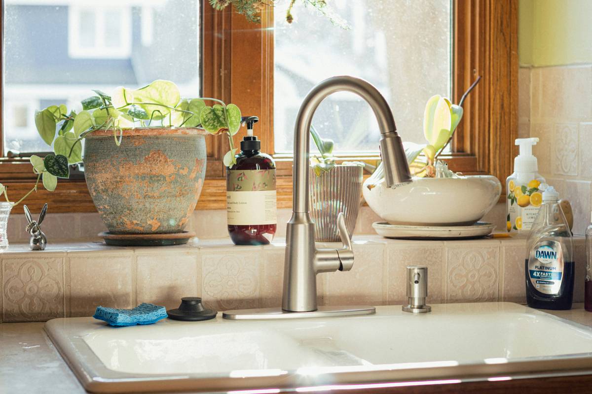 comparison of sustainable home sponge how to keep methods showing dry vs wet storage